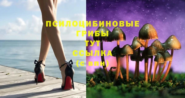 Альфа ПВП Баксан